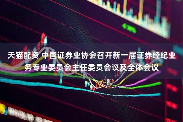 天猫配资 中国证券业协会召开新一届证券经纪业务专业委员会主任委员会议及全体会议