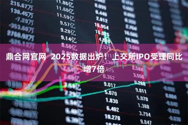 鼎合网官网  2025数据出炉！上交所IPO受理同比增7倍